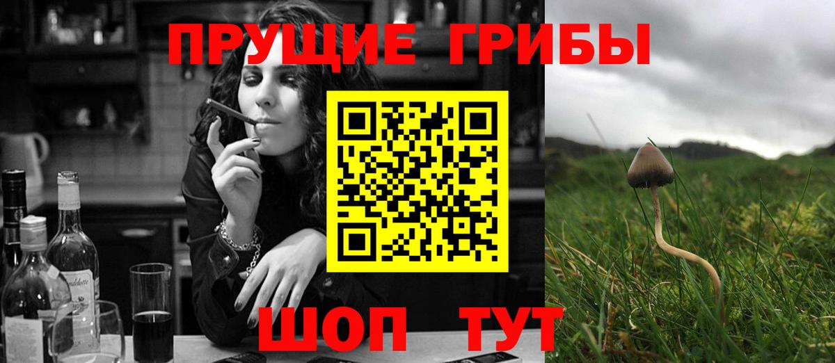 Псилоцибиновые грибы прущие грибы  Вход с VPN  Лесной 