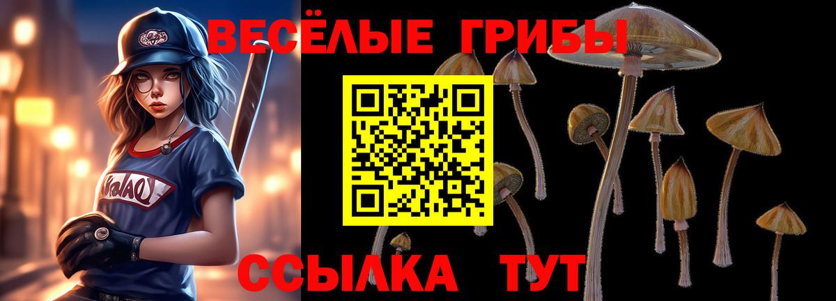 Галлюциногенные грибы Psilocybe Лесной
